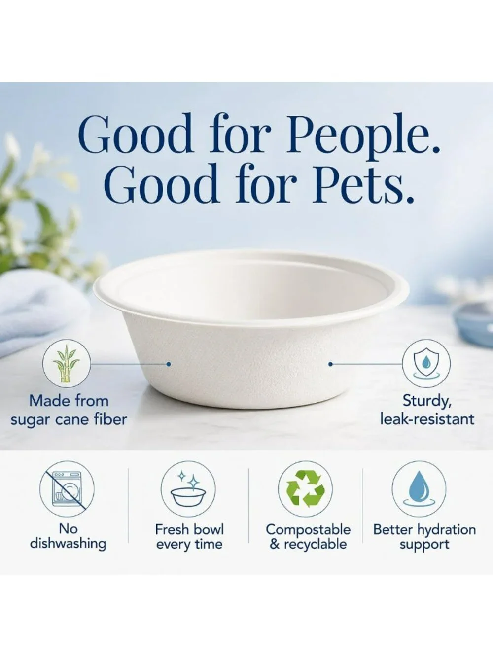 Stainless Steel Pet Bowls Set of 2 - 24 oz, Durable & Easy to Clean Design